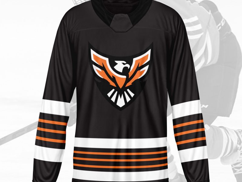 FalconJersey