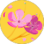 Broadcast Media Avatar