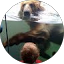 Benjamin Mattson Avatar